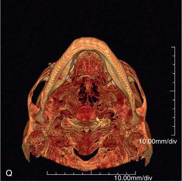 FIGURE 16-16, cont’d